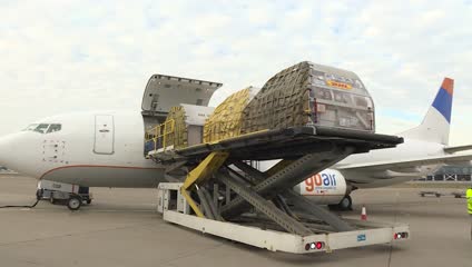 Djerlek: Stiglo 4.875 doza Fajzerove vakcine (VIDEO)